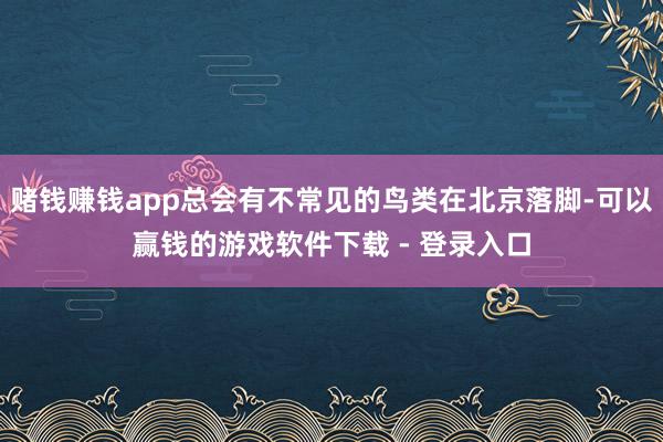 赌钱赚钱app总会有不常见的鸟类在北京落脚-可以赢钱的游戏软件下载 - 登录入口